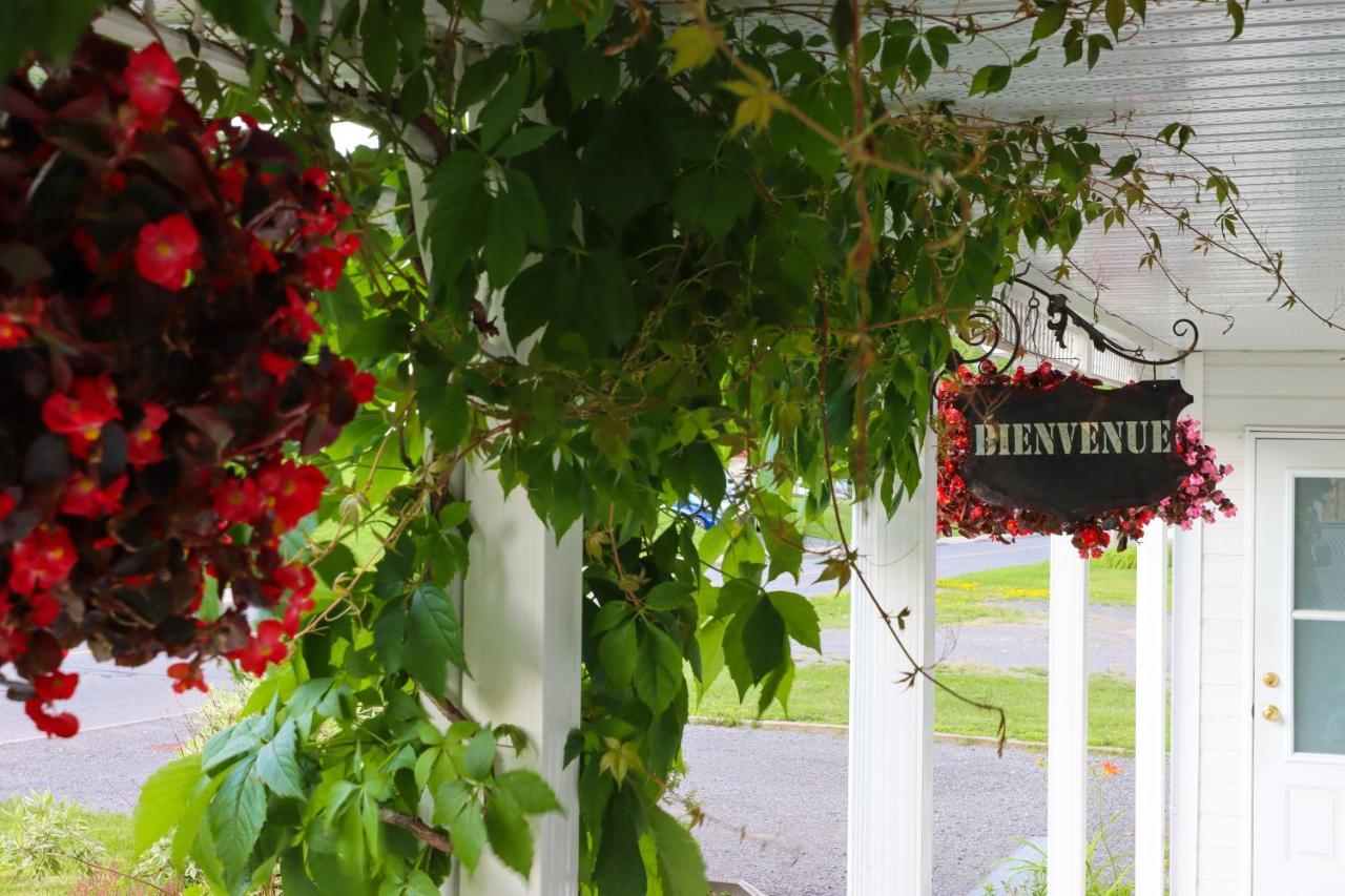Bed & Breakfast, Gite La Princesse Des Champs Saint-Jean-de-Boischâtel Kültér fotó